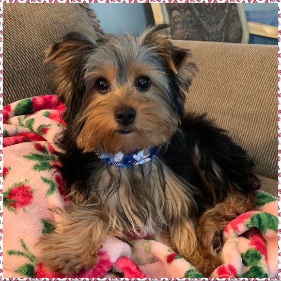 Welcome To My Closet! - Picture 2 of 2